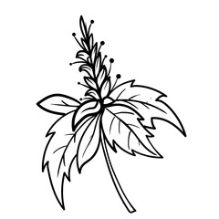 Fototapeta na wymiar Outline hand drawn decorative floral branch and minimalist leaves for logo or tattoo. Hand drawn line wedding herb, elegant wildflowers. Minimal line art drawing for print, cover or wallpaper