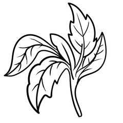 Outline hand drawn decorative floral branch and minimalist leaves for logo or tattoo. Hand drawn line wedding herb, elegant wildflowers. Minimal line art drawing for print, cover or wallpaper