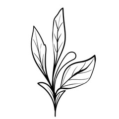 Outline hand drawn decorative floral branch and minimalist leaves for logo or tattoo. Hand drawn line wedding herb, elegant wildflowers. Minimal line art drawing for print, cover or wallpaper