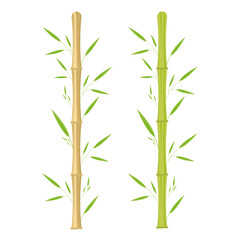 Bamboo green and brown decorative elements in a realistic style. Seamless vertical borders from stems, isolated leaves and sticks and fresh natural plants. Eco Decorative Element. Vector illustration