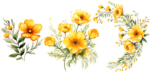 Beautiful wedding wreath with Tagetes erecta flowers watercolor elements set.