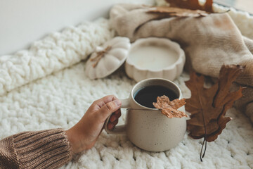 Hand holding a cup of tea, autumn mood