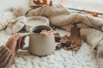Hand with a cup of tea, good morning concept. Autumn mood