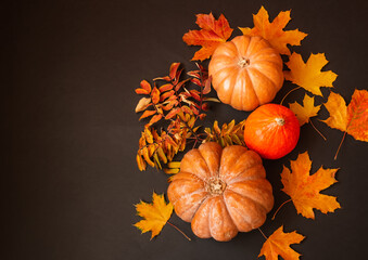 Orange pumpkins, maple and rowan leaves on dark background