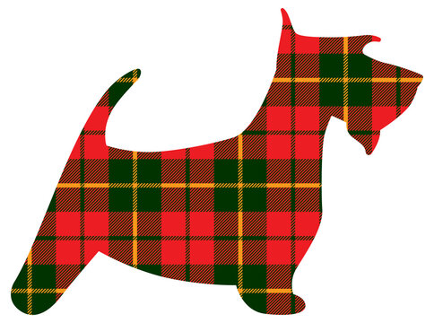 recommend clip art: Scotch terrier tartan texture plaid red pattern scotland