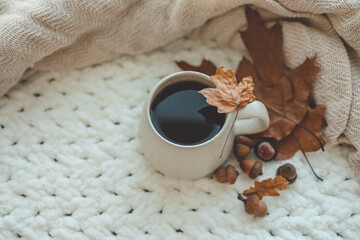 Cup of hot tea and a leaf, autumn mood