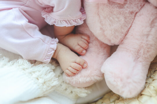 Cute newborn baby feet and pink plush toy