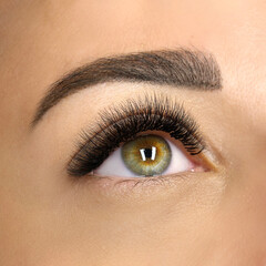 Macro shot of female green eye with 2d 3d 4d mega volume long false lashes. Young woman with...