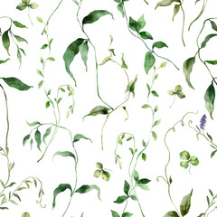Watercolor floral seamless pattern of meadow wild herbs. Hand painted plants elements isolated on white background. Outdoor illustration for design, print, fabric or background.