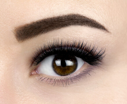 Macro shot of female dark brown eye with 2d 3d 4d mega volume long false lashes. Young woman with perfect eyes cat shape and beautiful black eyelash extensions. Closeup beauty photo of lash extension 