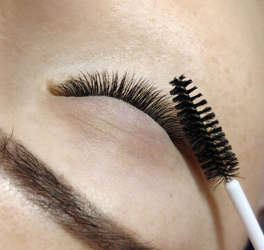 Macro shot of female eye with classic Japanese long false lashes. Young woman with perfect eyes shape and beautiful eyelash extensions. Closeup beauty photo of eyelashes extension and a lash brush