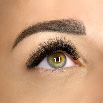 Macro shot of female green eye with 2d 3d 4d mega volume long false lashes. Young woman with perfect eyes cat shape and beautiful black eyelash extensions. Closeup beauty photo of lash extension 