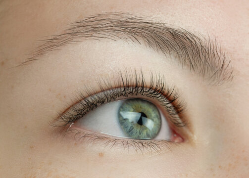 Macro shot of female green eye with classic long false lashes. Young woman with perfect eyes shape and beautiful natural eyelash extensions. Closeup beauty photo of iris, pupil and lash extension 