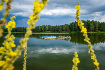 A group of empty yellow and blue pedal boats in the middle of a lake. Yellow flowers out of focus in the foreground. Sharpness in the background. Majdan Sopocki, Roztocze, Poland