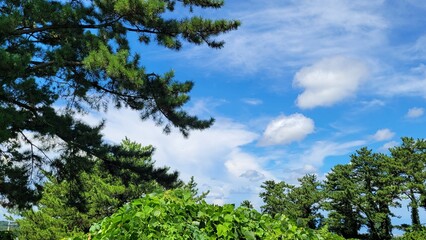 The sky
cloud
Trees
Nature
outdoors