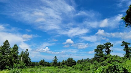 the blue sky, a white cloud, Scenery