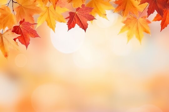 yellow and red autumn maple leaves on blurred background with bokeh effects