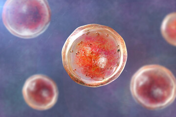 Emmonsia microscopic pathogenic fungi, adiaspore stage, 3D illustration