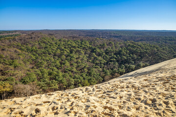 Dune of Pilat and Landes forest in La Teste-de-Buch, France