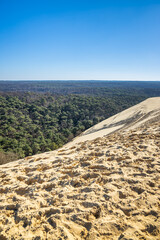 Dune of Pilat and Landes forest in La Teste-de-Buch, France