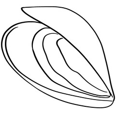 mussels line illustration