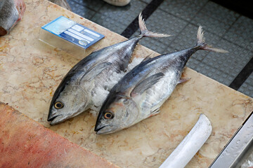 Fischmarkt in Funchal, Madeira