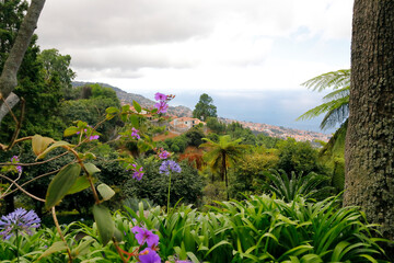 Blick vom Berg auf die Stadt Funchal und den Atlantik