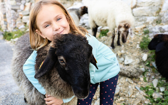 happy smiling child girl hugging sheep at farm, children love play animal, kid on nature, positive emotions, travel in Switzerland biopark, swiss sheep simbol, toddler face