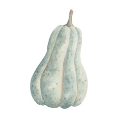 Autumn botanical pumpkin.Natural product for autumn holidays. Farm organic vegetables. Watercolor illustration. Hand drawn isolated art.