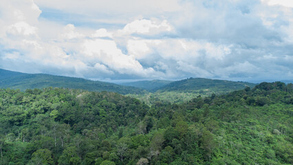 Aerial view of the green and beautiful tropical forest in Aceh province, Indonesia