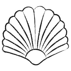 Hand drawn Sea shell 2icon