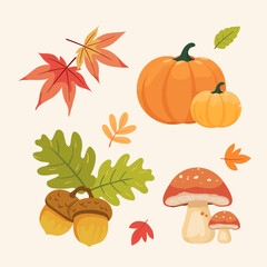 Autumn elements set
