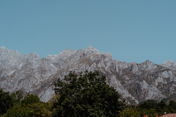 asturias, españa, animales y grandes acantilados con naturaleza urbana