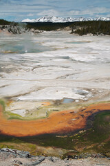geyser in Yellowstone national park