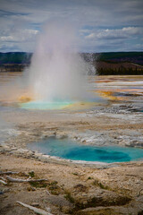 Geyser in Yellowstone national park