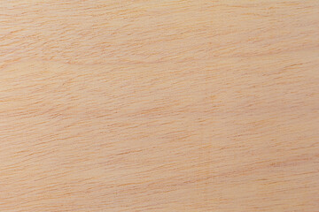 Light rough textured cut surface of an African tree. Wood background or blank for design