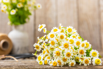 Beautiful spring chamomile flowers. Wildflowers. Flat lay spring and summer chamomile flowers on texture wooden background. The concept of gardening and plants. Bouquet. Place for text, copy space.