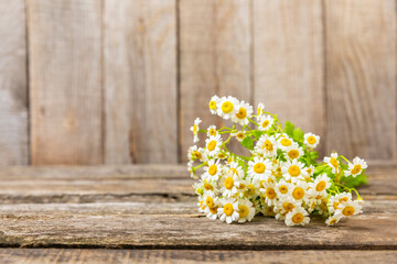 Obraz premium Beautiful spring chamomile flowers. Wildflowers. Flat lay spring and summer chamomile flowers on texture wooden background. The concept of gardening and plants. Bouquet. Place for text, copy space.