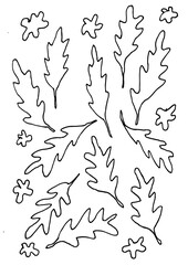 Minimalistic Leaves, Autumn leaf, illustration
