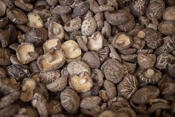 dried mushroom slices food background texture background
