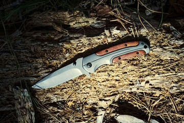 Folding knife for survival lies on rotten tree.