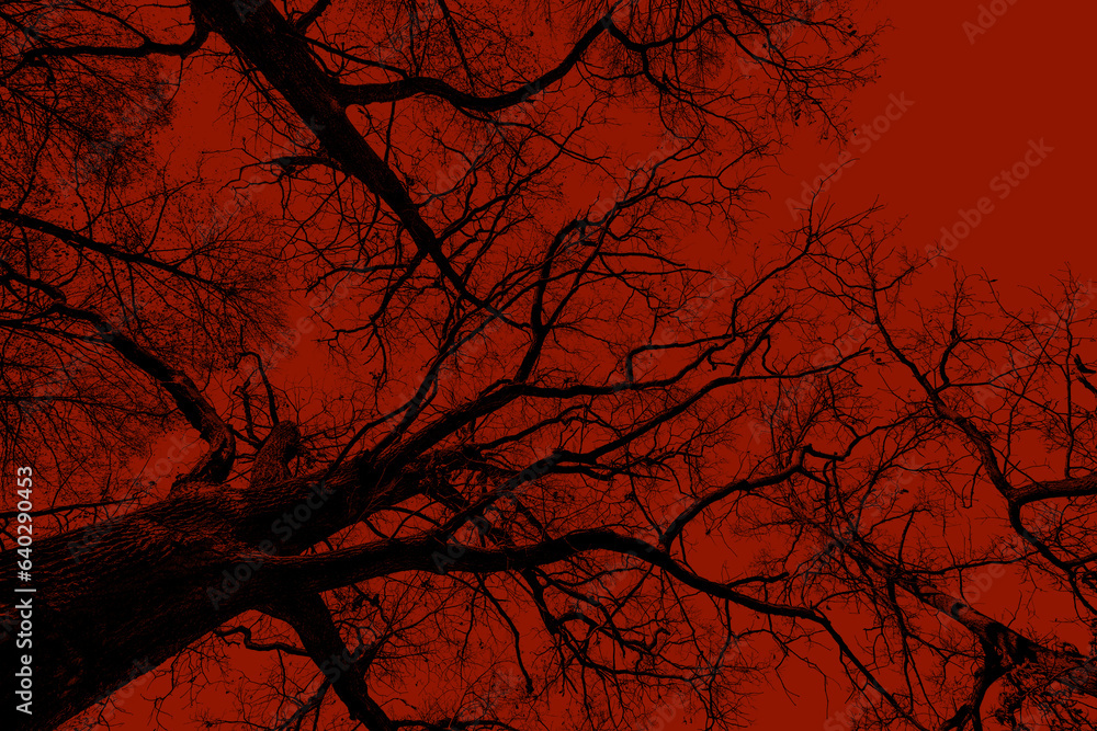 Aufkleber Silhouettes of trees on a red background. Horror or ecological concept. Red light and silhouette of trees.