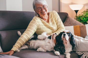 Portrait of amused senior woman relaxed on home sofa with her two cavalier king Charles spaniel dogs. Elderly lady enjoying retirement and best friends concept