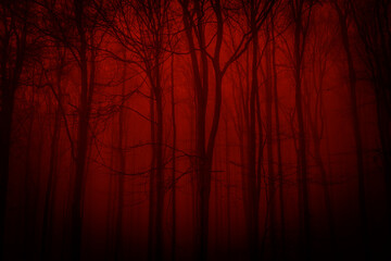 Silhouettes of trees on a red background. Horror or ecological concept. Red light and silhouette of...