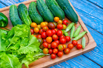 different vegetables collected in the garden on a wooden board. simple realistic photo. tomatoes, cucumbers, greens - grown in the garden.
