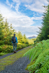 Hiker with rugsack, wearing cap walking on forest path.