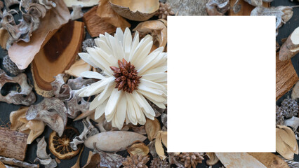 image of a background with colored dry leaves with blank space for writing, mockup