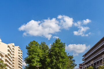 Obraz premium 日本の住宅地 マンション