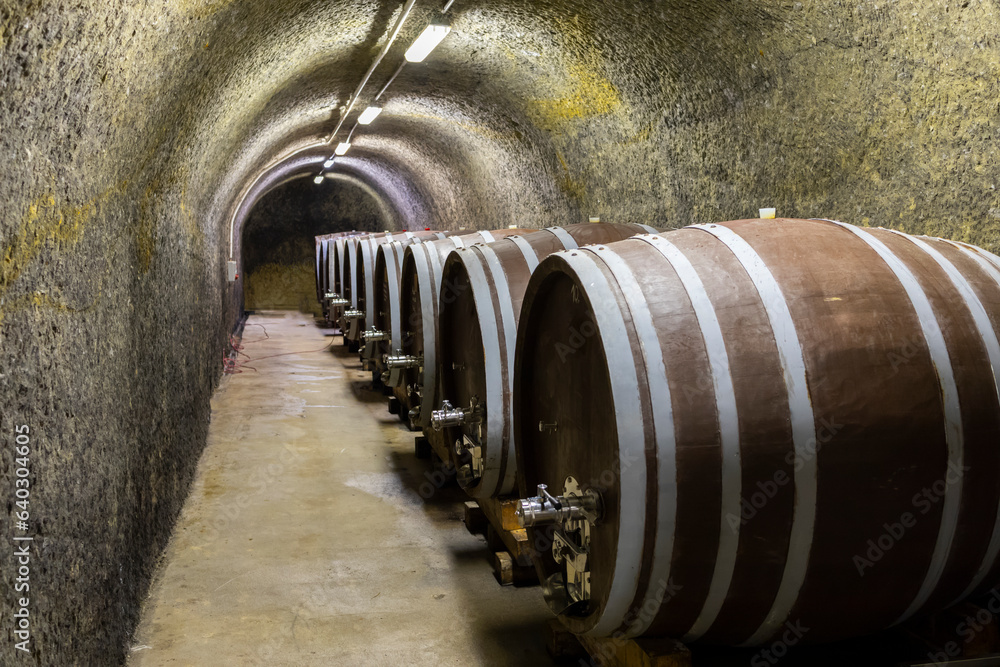 Poster wine cellars with barrels, traditional wine called bikaver near eger, hungary