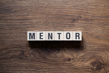 Mentor - word concept on building blocks, text